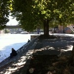 Image00904