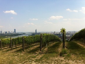 Aussicht zum Heurige