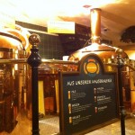 Salm Brau5