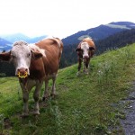St Johann2