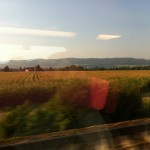 trein
